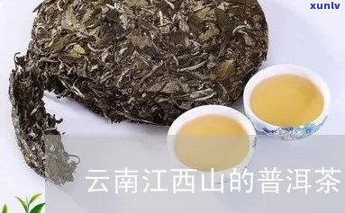 澜沧江西普洱茶