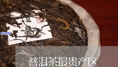 普洱茶哪个茶区的贵