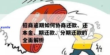 招商怎么协商分期还款的钱还不上应该怎么办