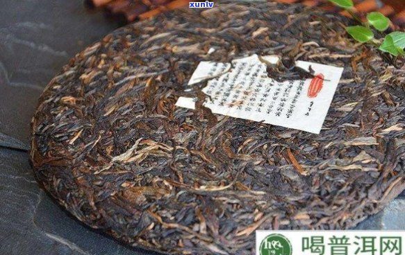 熟普洱茶买哪个好