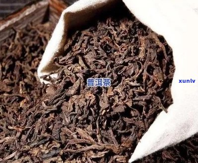 熟普洱茶买哪个好