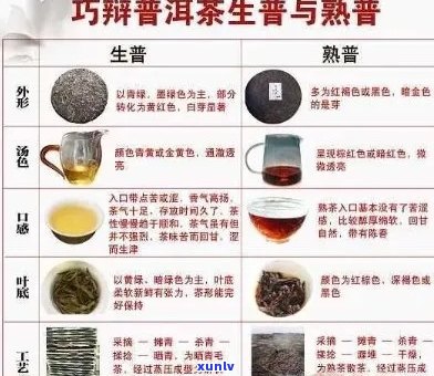 痰湿体质喝什么普洱茶