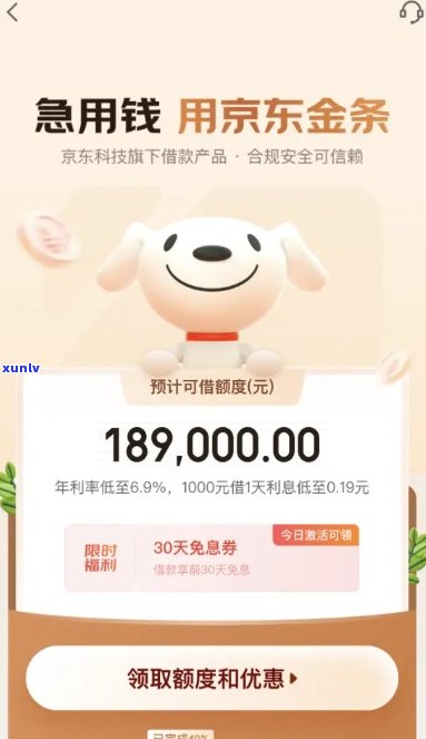 京东金条可以申请期一年还款么