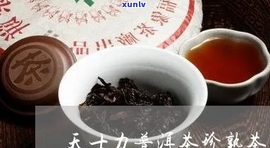 天士力普洱茶珍多少钱