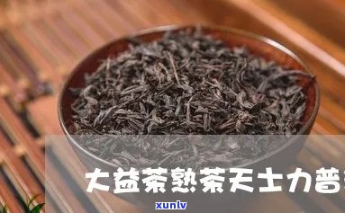 天士力普洱茶珍多少钱