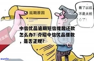 中信优贷说我逾期了怎么办应该怎么解决