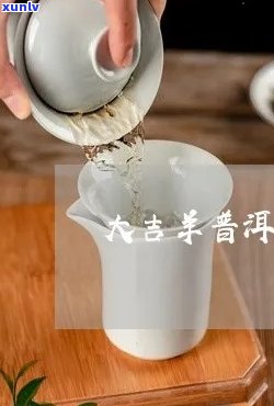 大吉羊普洱茶历