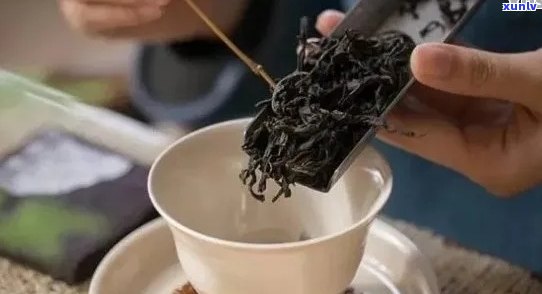 为啥普洱茶有一股紫菜味