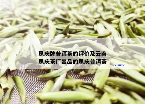 云南凤庆普洱茶怎么样