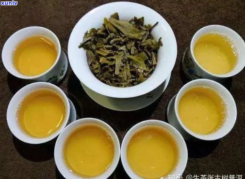 普洱茶生茶几个特点