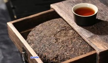 普洱茶生茶几个特点