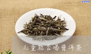 小孩可以喝普洱茶功效