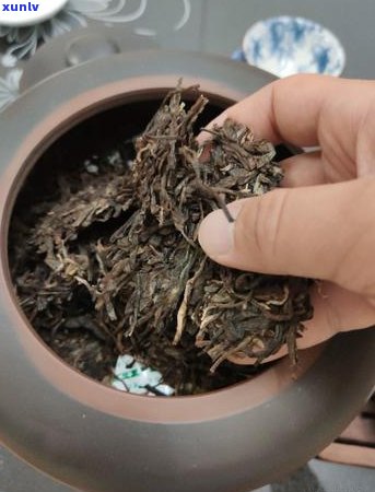 广东出产的普洱茶