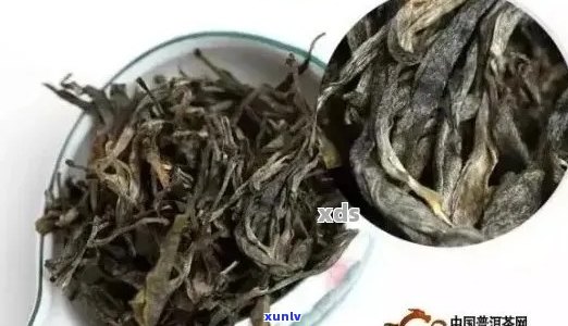 快速分辨普洱茶好坏