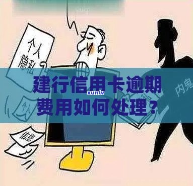 建行信用卡逾期了要怎么办