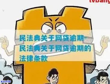 民法典中关于信用卡网贷逾期的规定