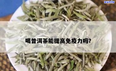 免疫低能喝普洱茶吗吗