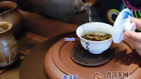 泡普洱茶的整个流程是什么