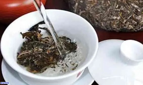 泡普洱茶的整个流程是什么