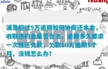 无力协商还款怎么还款