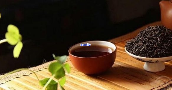 普洱茶与绿茶的搭配