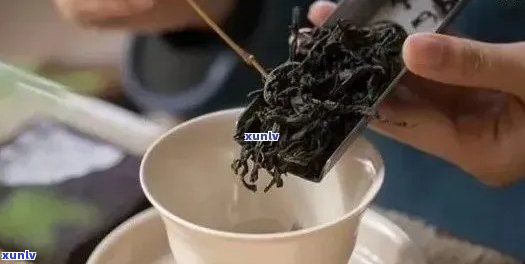 紫菜和普洱茶有什么区别