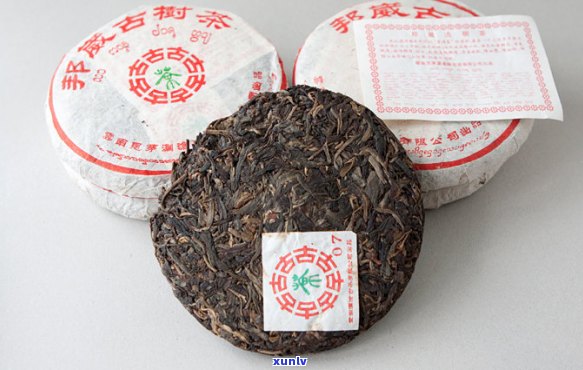 小饼普洱茶澜沧古茶