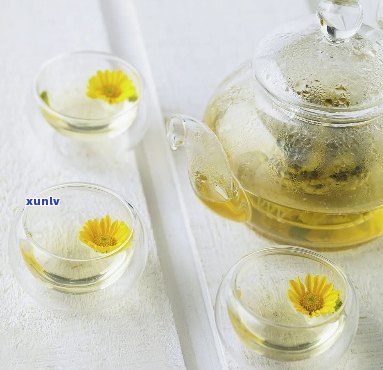 普洱茶和乌龙茶菊花茶