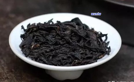 海堤红一号是什么红茶