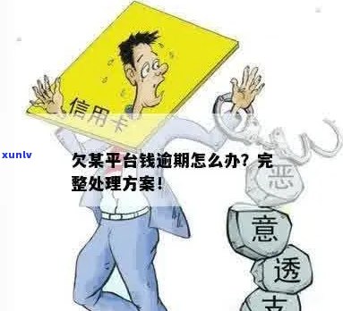 个人欠平台的钱怎么处理