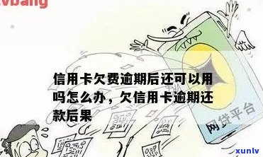 欠信用卡逾期怎么办应该如何处理