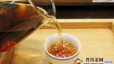 喝普洱茶需要煮吗