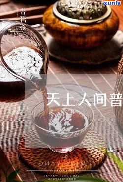 天上人间滇茗普洱茶