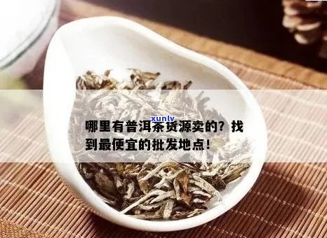 波普洱茶购买购