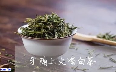 牙疼上火喝什么茶下火快