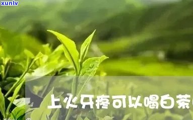 牙疼上火喝什么茶下火快