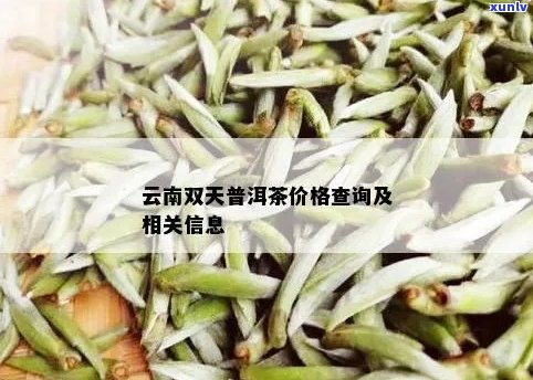 双天茶叶价格查询天字号普洱茶