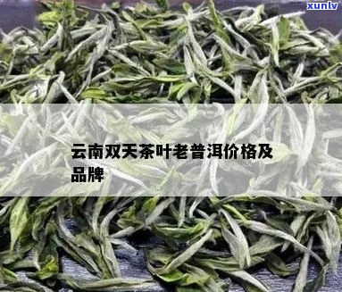 双天茶叶价格查询天字号普洱茶