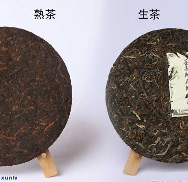 普洱茶生茶与熟茶怎么分辨