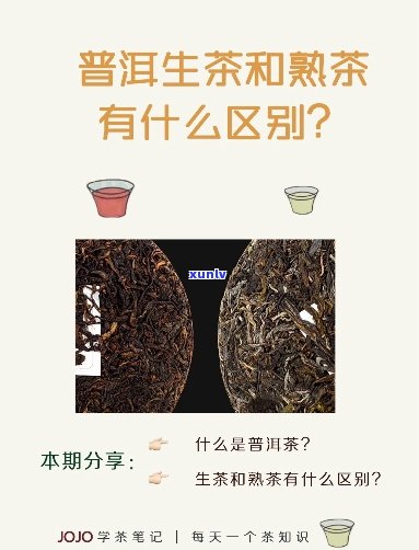 普洱茶生茶与熟茶怎么分辨