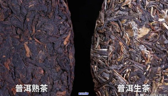 普洱茶生茶与熟茶怎么分辨