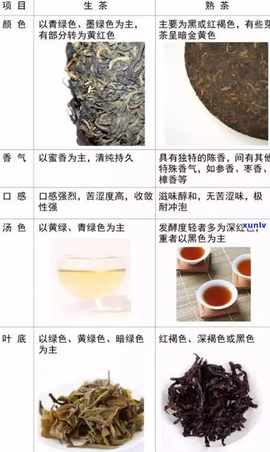 普洱茶生茶与熟茶怎么分辨