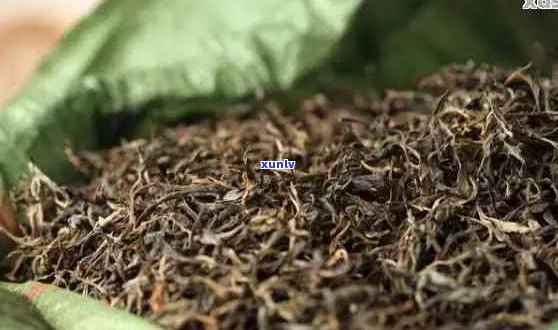 普洱茶散茶属于什么发酵