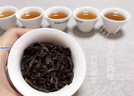 煮普洱茶能煮多长时间