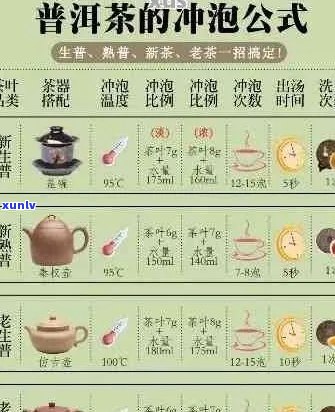 煮普洱茶投茶比例