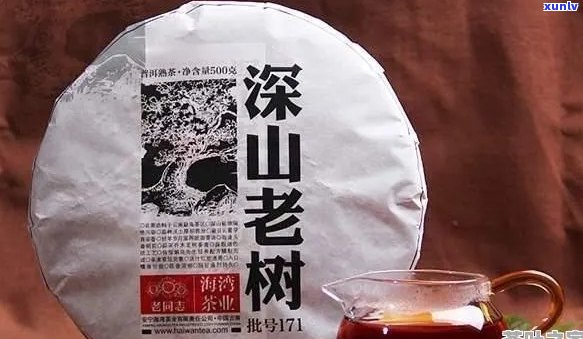 老同志藏山普洱茶