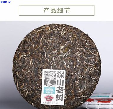 老同志藏山普洱茶