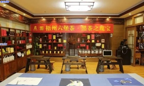 梧州高端普洱茶店在哪里