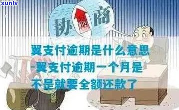 翼支付逾期一年多了怎么办