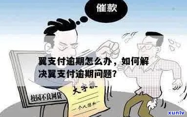 翼支付逾期一年多了怎么办